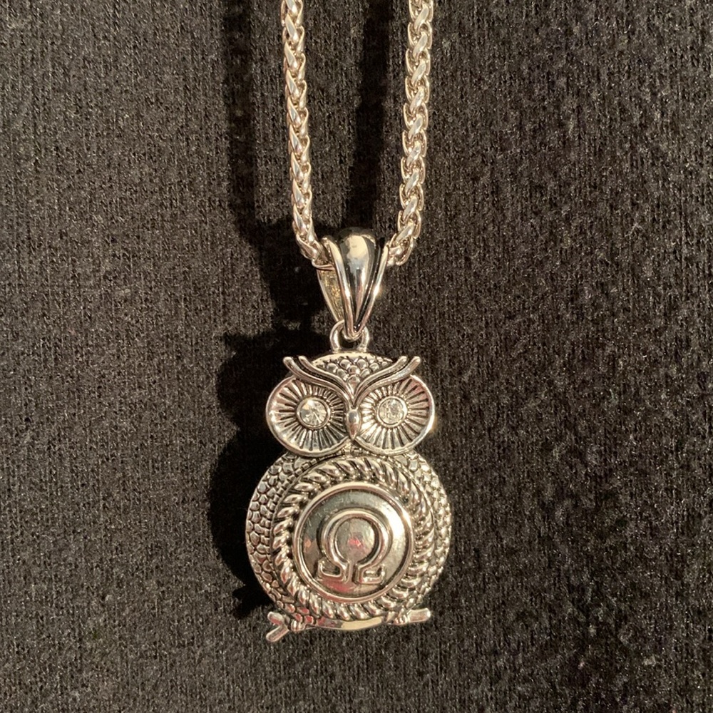 Owl Pendant Necklace with 9” Silver Chain EUC